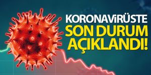 Tkiye'de son 24 saatte 10.220 koronavirüs vakası tespit edildi Giriş:15 Ocak 2021 19:16