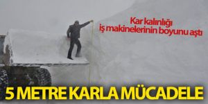 Muş'ta 4-5 metre karla mücadele