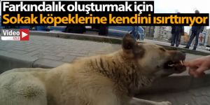 Sokak köpeklerini sinirlendirip kendini ısırttırıyor