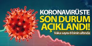 24 saatte 7.901 koronavirüs vakası tespit edildi