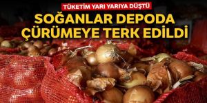 Soğanlar depoda çürümeye terk edildi