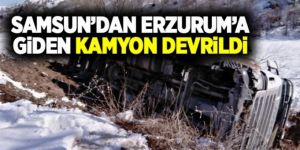 Samsun'dan Erzurum'a giden kamyon devrildi