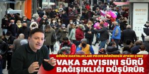 Prof. Dr. Özkaya: Vaka sayısını sürü bağışıklığı düşürür