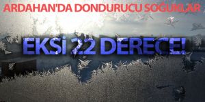 Ardahan'da dondurucu soğuklar: Göle'de Eksi 22 derece görüldü