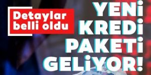 Yeni kredi paketi geliyor! Detaylar belli oldu: Kimler yararlanacak?