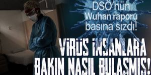 DSÖ'nün Wuhan raporu basına sızdı!