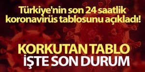 Türkiye'de son 24 saatte 193 kişi hayatını kaybetti