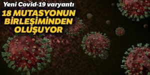 Brezilya'da yeni mutasyon: 18 türün birleşiminden oluşuyor