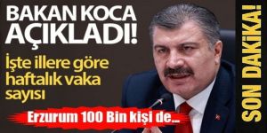 Bakan Koca illere göre her 100 bin kişide görülen Kovid-19 vaka sayılarını açıkladı