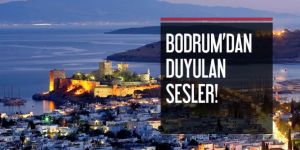 Bodrum'daki ''garip'' seslerin kaynağı bulundu!