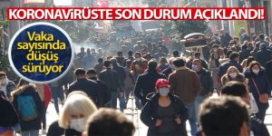 Türkiye'de son 24 saatte 24.733 koronavirüs vakası tespit edildi