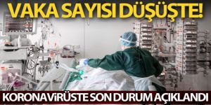 Koronavirüste son durum ne ? Vaka sayısı düşüşte mi ?