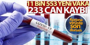 Türkiye'de son 24 saatte 11.553 koronavirüs vakası tespit edildi