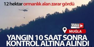 Muğla'daki yangın 10 saat sonra kontrol altına alındı