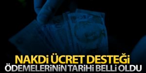 Nakdi ücret desteği ödemelerinin tarihi belli oldu