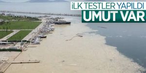 Marmara Denizi'ndeki deniz salyasına, reaktif oksijen yöntemiyle çözüm