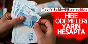 Hibe desteği ödemeleri yarın başlıyor