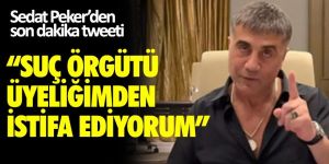 Sedat Peker: Suç örgütü üyeliğimden istifa ediyorum