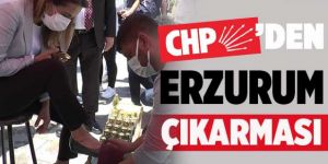 "Erzurum, sorunların başkenti olmuş"