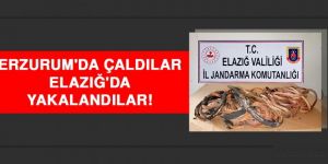 Erzurum'da çaldılar Elazığ'da yakalandılar