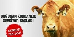 Doğu’da kurbanlık sevkiyatına sıkı denetim