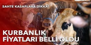 Kurbanlık fiyatları belli oldu