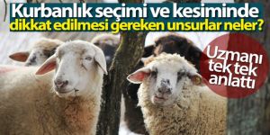 Kurbanlık seçimi ve kesiminde dikkat edilmesi gereken unsurlar