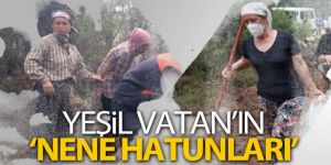 Yeşil Vatan'ın ‘Nene Hatunları'