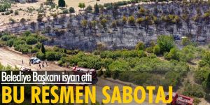 Belediye Başkanı isyan etti! Bu resmen sabotaj