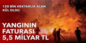 Yangınların faturası 5,5 milyar TL