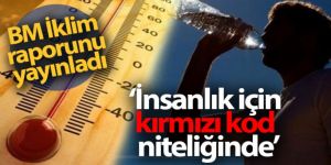 BM İklim raporu: 'Aşırı sıcaklıklar 1950'lerden bu yana daha sık ve yoğun hale geldi'