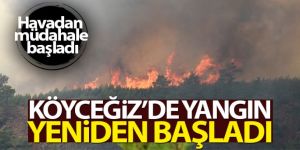 Köyceğiz'deki yangın yeniden başladı