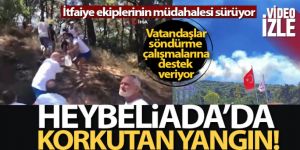 Heybeliada'da ormanlık alanda yangın çıktı