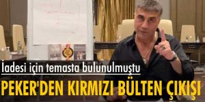 Sedat Peker'den kırmızı bülten çıkışı