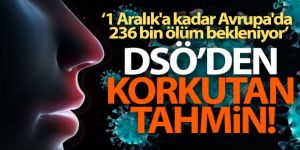 DSÖ Avrupa: 'Tahminlere göre 1 Aralık'a kadar Avrupa'da 236 bin ölüm bekleniyor'