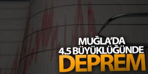 Datça açıklarında 4.5 büyüklüğünde deprem