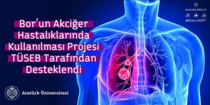 Bor’un akciğer hastalıklarında kullanılması projesi TÜSEB tarafından desteklendi