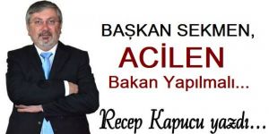 Sekmen, acilen bakan yapılmalı!