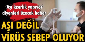 'Aşı kısırlık yapıyor' diyenleri üzecek haber... Aşı değil, virüs sebep oluyor