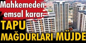 Mahkemeden tapu mağdurları için emsal karar