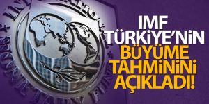 IMF: 'Türkiye ekonomisi 2021'de yüzde 9 büyüyecek'