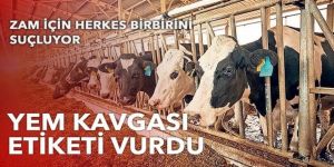 Yem kavgası fiyatları vurdu: Bir senede yüzde 70 artış