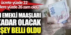 Emekliye asgari ücret zammı!