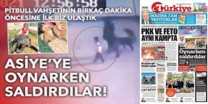 Asiye Ateş’in yaralandığı pitbull dehşetindeki yeni görüntüler şaşırttı!