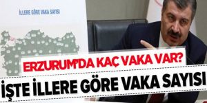 İllere göre vaka sayısı açıklandı: İşte Erzurum'daki vaka sayısı