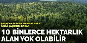 Resmi Gazete'de ormanlarla ilgili şaşırtıcı karar: 10 binlerce hektarlık alan yok olabilir