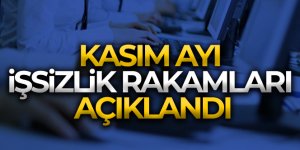 İşsizlik oranı Kasım ayında değişmedi