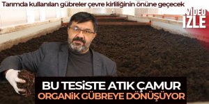 Atık çamur solucanlar tarafından sindirilerek organik gübreye dönüşüyor