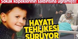 4 saatlik ameliyatın ardından hayat mücadelesi sürüyor