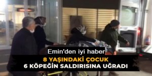 Emin’den iyi haber geldi